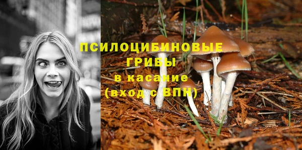 крисы Гусиноозёрск
