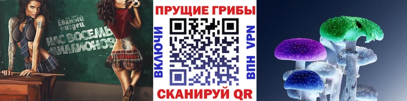 Галлюциногенные грибы Cubensis  Бузулук 