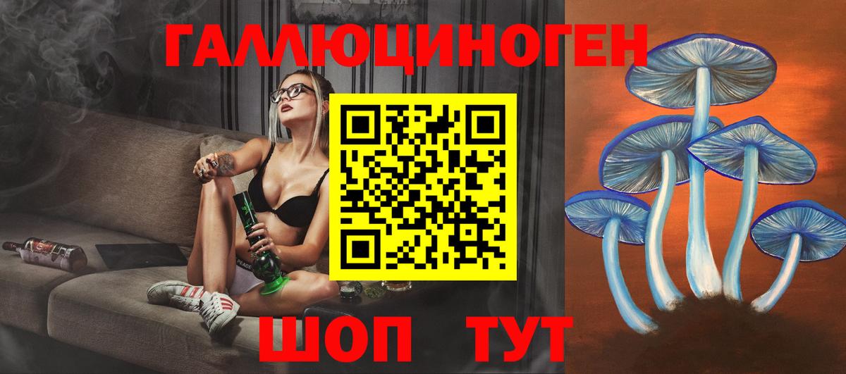 Галлюциногенные грибы Psilocybine cubensis Бузулук